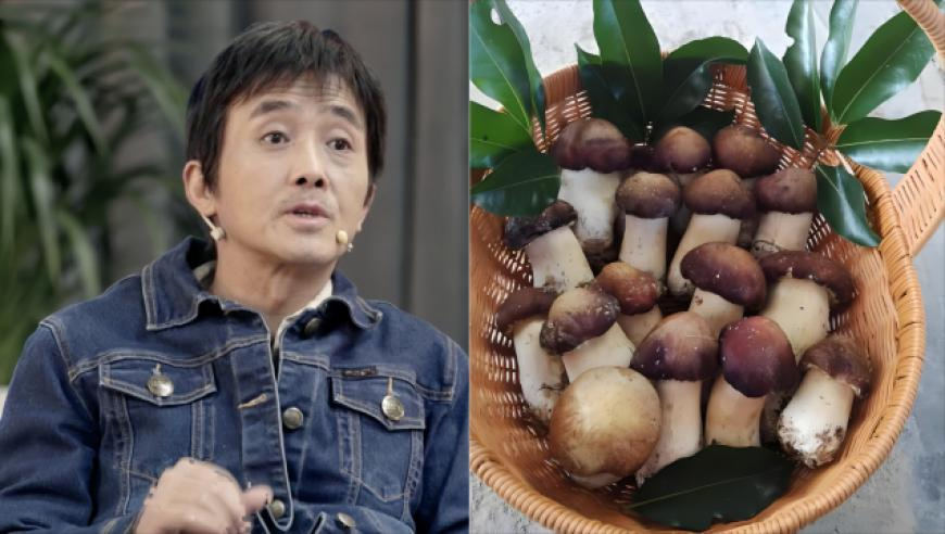 管家婆四肖四码免费资料,泽连斯基与特朗普爆发激烈争吵,收益成语分析落实_精英版V5.19