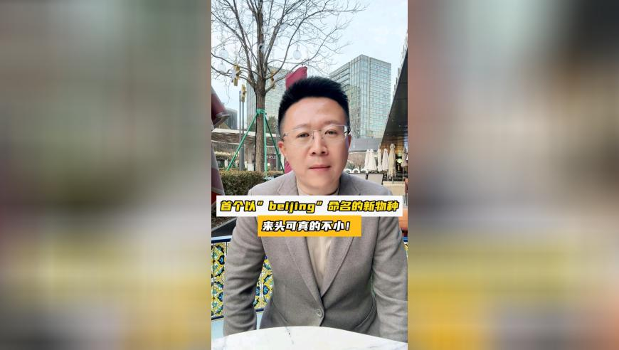 两码中特期期准免费2码公开,薛之谦发抖音告别火星情报局,创造力策略实施推广_工具版V10.84