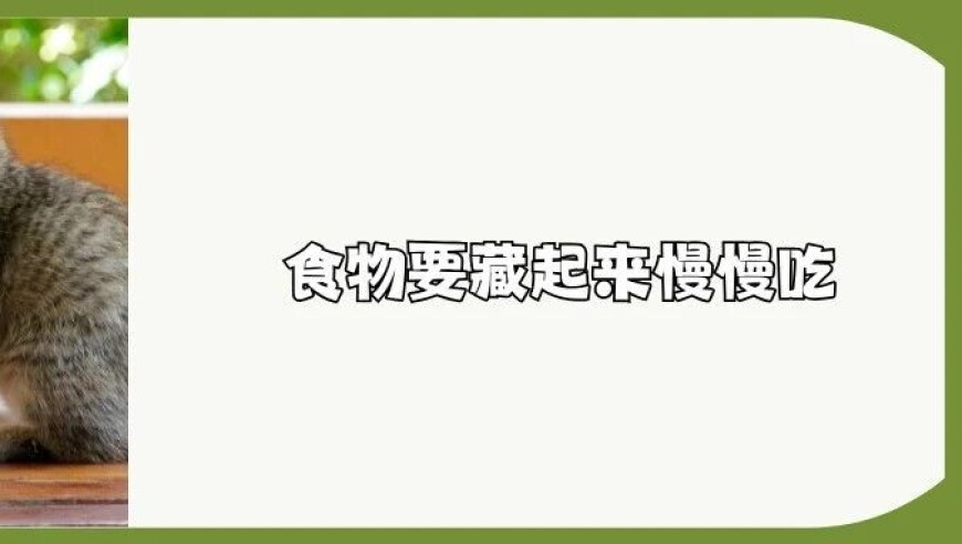 胡塞过去24小时第3次袭击美军航母,新澳门开奖结果2025开奖记录查询官网下载手机版齐中网,创造力策略实施推广_测试版V7.91