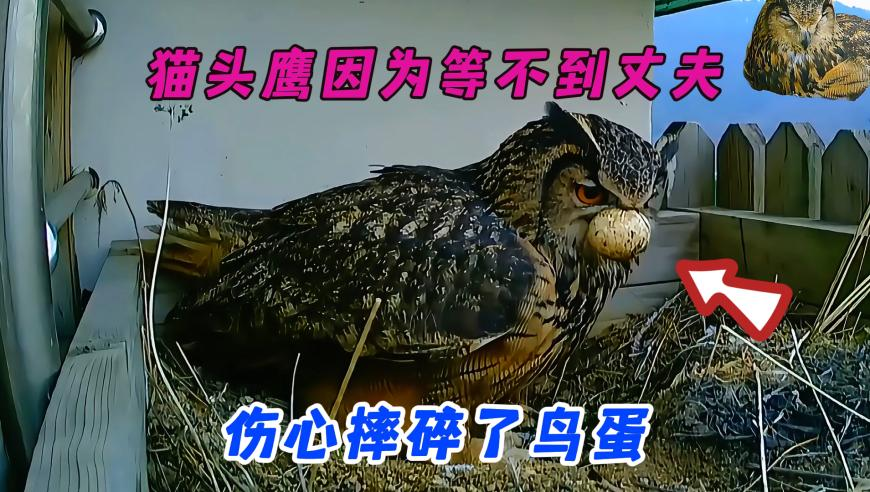 青云直上澳彩五肖中特,金秀贤,广泛的解释落实方法分析_创新版V9.48