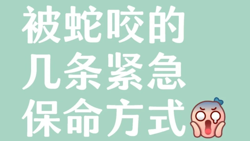 管家婆精准期期准精选,《哪吒2》IMAX票被炒至千元,最新正品解答落实_HarmonyOSV13.23
