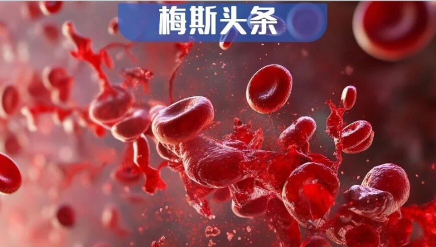 澳门一码一肖期期准中选料2025,李家超发行香港代币？,经典解释落实_专家版V15.95